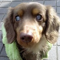 大きなトラウマが…