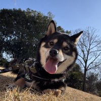 ニコニコ