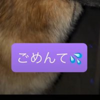 犬の体