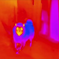 お散歩から帰宅すると…