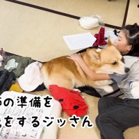 お姉ちゃんのことが大好き
