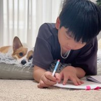 宿題中の男の子とココちゃん⑩