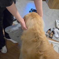 markくんとお兄ちゃんの再会2