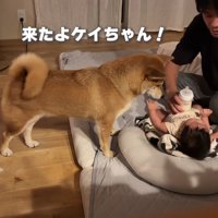 パパがミルクをあげます