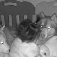 「大丈夫だよ、安心して」