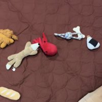 床に散らばったおもちゃ