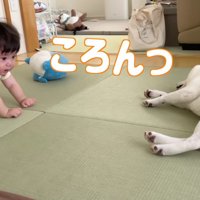 ころんっ