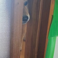 可愛らしい監視員