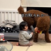 きんとん君VS男の子⑩