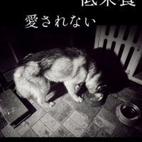 「引っ越すから」