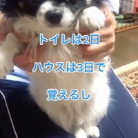 ちーちゃんとの出会い8