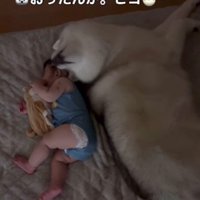 「そこにおったんか」