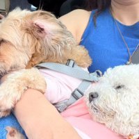 友達もいっぱいできたよ