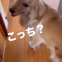 左を振り向く福ちゃん