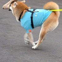 無慈悲