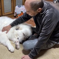 おじいちゃんに顔を寄せる犬