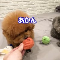 「貸してあげて」と頼んでも拒否