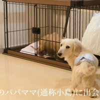 最初の家族との暮らしが始まった