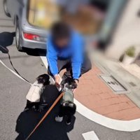 お兄さんに集まる2匹