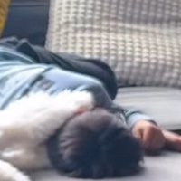 ソファに寝転がる男の子