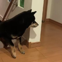 まさかの塩対応に爆笑！