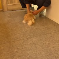 会いたかったよ～！！