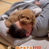 お父さんの上に乗るちゃこたろう君3