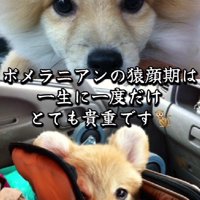 猿期も変わらず溺愛！！