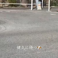 飼い主さんを待つでんでん君
