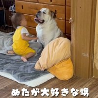 向かい合って座る犬と子ども
