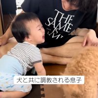 泣き出した息子さん