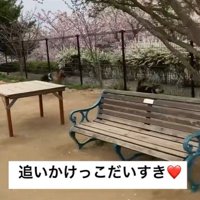 追いかけっこをして遊べるように！