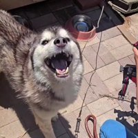 たくさんの人の尽力で…