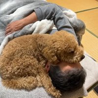 お父さんの上に乗るちゃこたろう君4