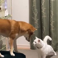 いつまでも仲良しでいてね♡