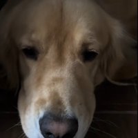 微笑ましい珍騒動♡
