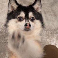 自然と笑顔になる可愛さ♡