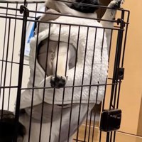 個性的なフォルム