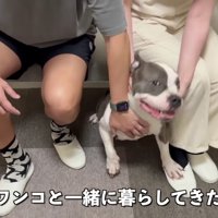 あるご夫婦がレンちゃんに会いに来た