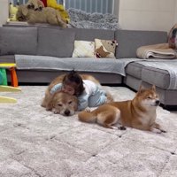 ギューっとハグ♡