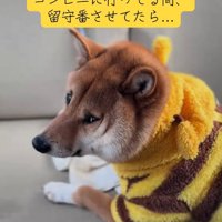 コンビニから戻った飼い主さん