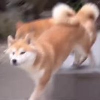「それいけ！！」
