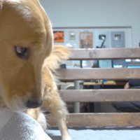 「まずい、バレたか…？」