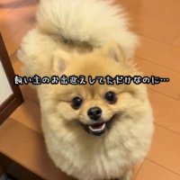 ニッコリ可愛い笑顔♡