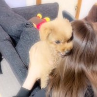 ムキ顔のふうたくん