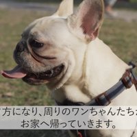 そろそろ帰ろうとしたら…