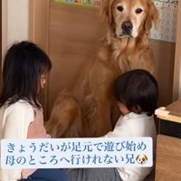 ママのところに行きたい…