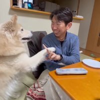 お父さんも思わずニッコリ