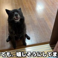 「イトちゃんがいた！」