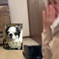 「先代犬を思い出す…」